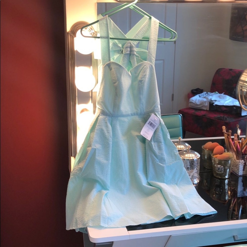 NWT Lauren James seersucker Livingston dress XS